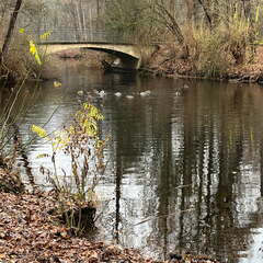 24-12-08 12-01-45 1762